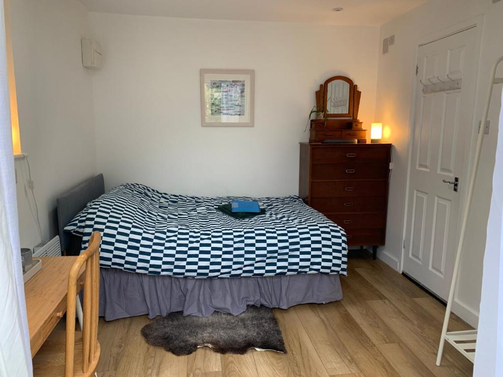 a bedroom with a bed and a dresser and a mirror at Garden room with parking in Lewes