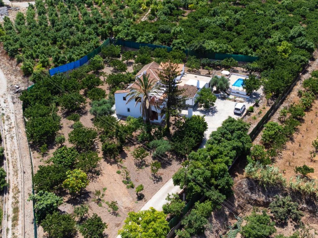 an aerial view of a house with a palm tree at Holiday Home Villa Chirimoya by Interhome in Torrenueva