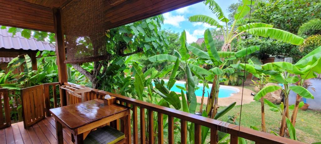 Samui Blue Bird - 13