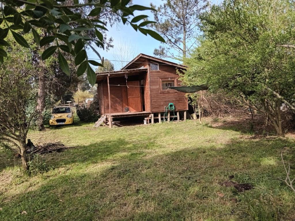 una casa de madera en un campo con patio en Casa Totem, 