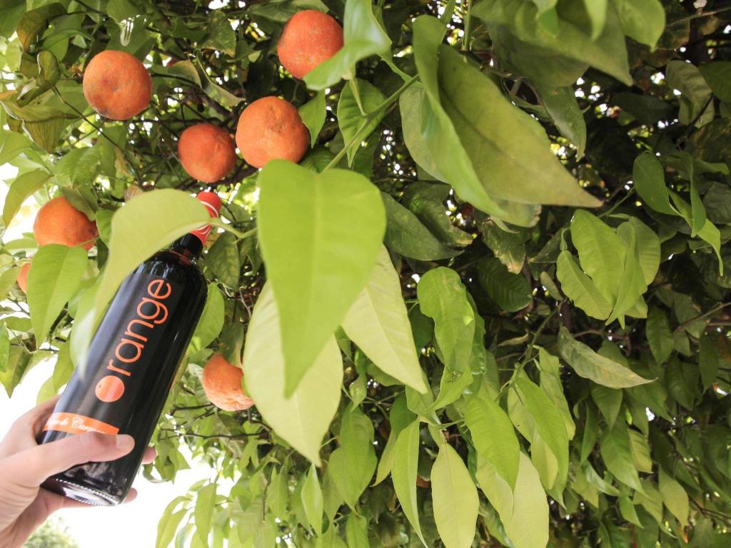 Ibis Sevilla - Resim 45