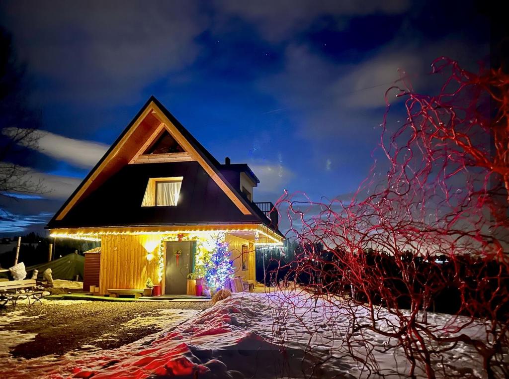a house with a christmas tree and lights on it at Domek Tatry - Stacja Wierchowa 972 m in Brzegi