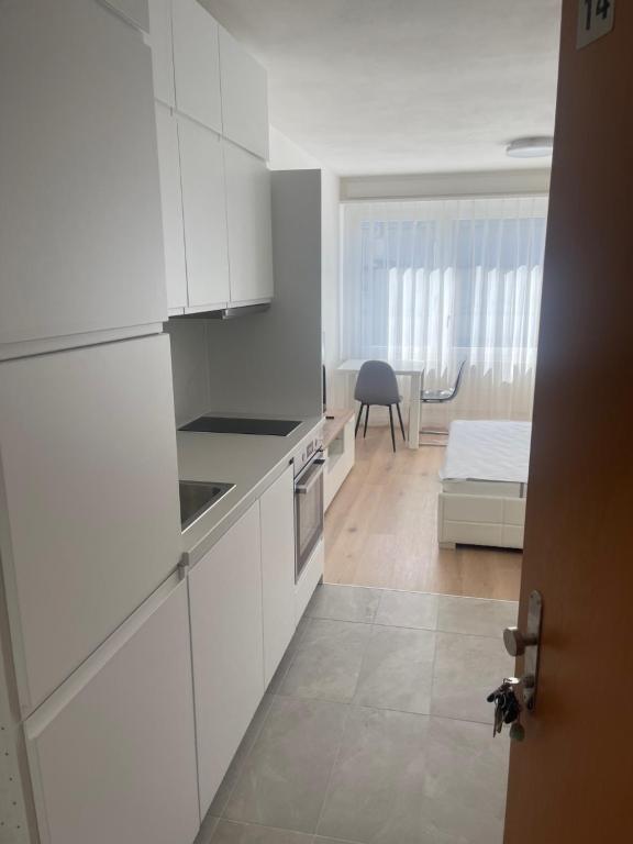 Η κουζίνα ή μικρή κουζίνα στο Komfortables Apartment für Urlaub in Triesen