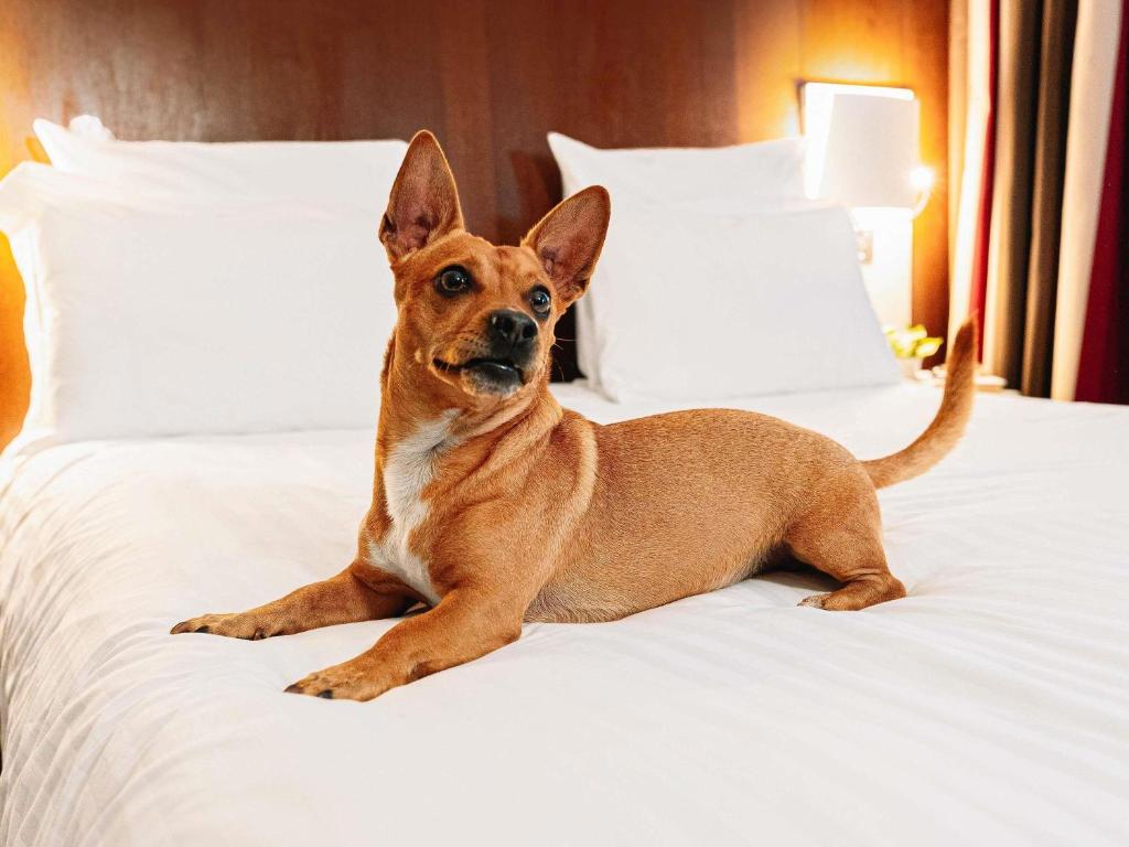 Mercure Roma Piazza Bologna - Resim 32