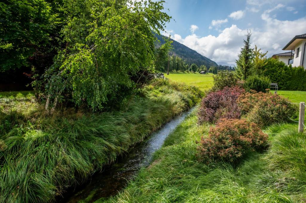 Apartments Dolomit-Royal - 18