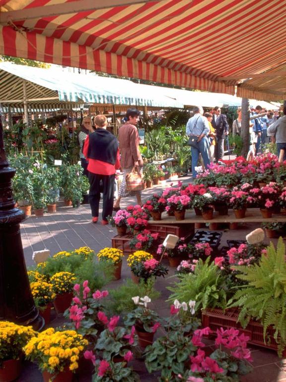 ibis Nice Centre Notre Dame - Resim 40