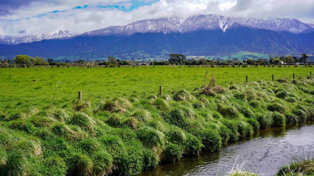 Alpine-Pacific Holiday Park - Resim 45