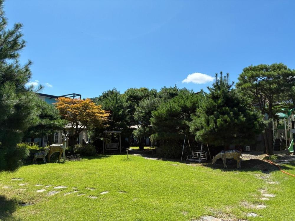 a yard with some animals standing in the grass at Gapyeong The Haru Emotional Pool Villa in Mŏk-kol