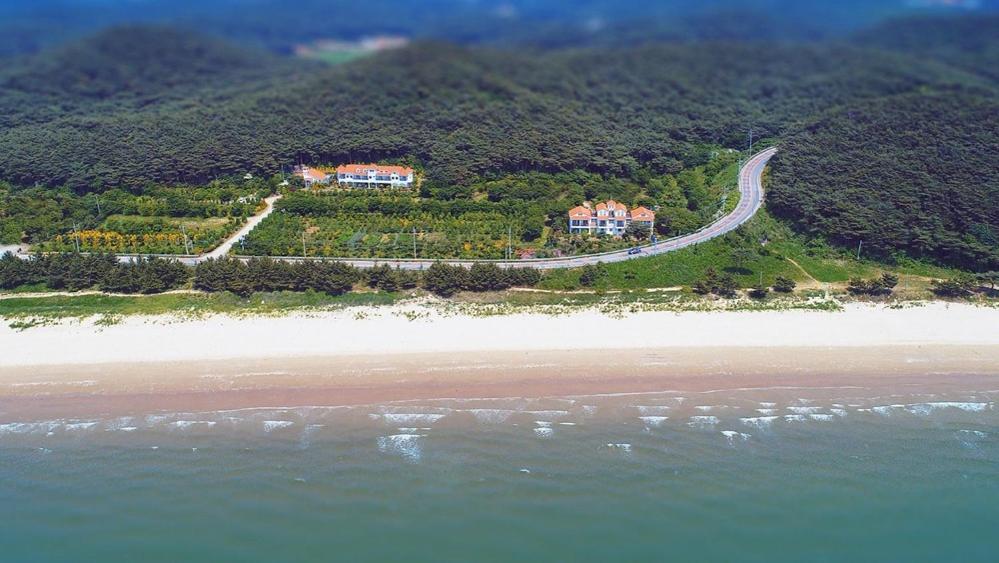 an aerial view of a beach with a road at Taean Janggong Pension in Yangjimal