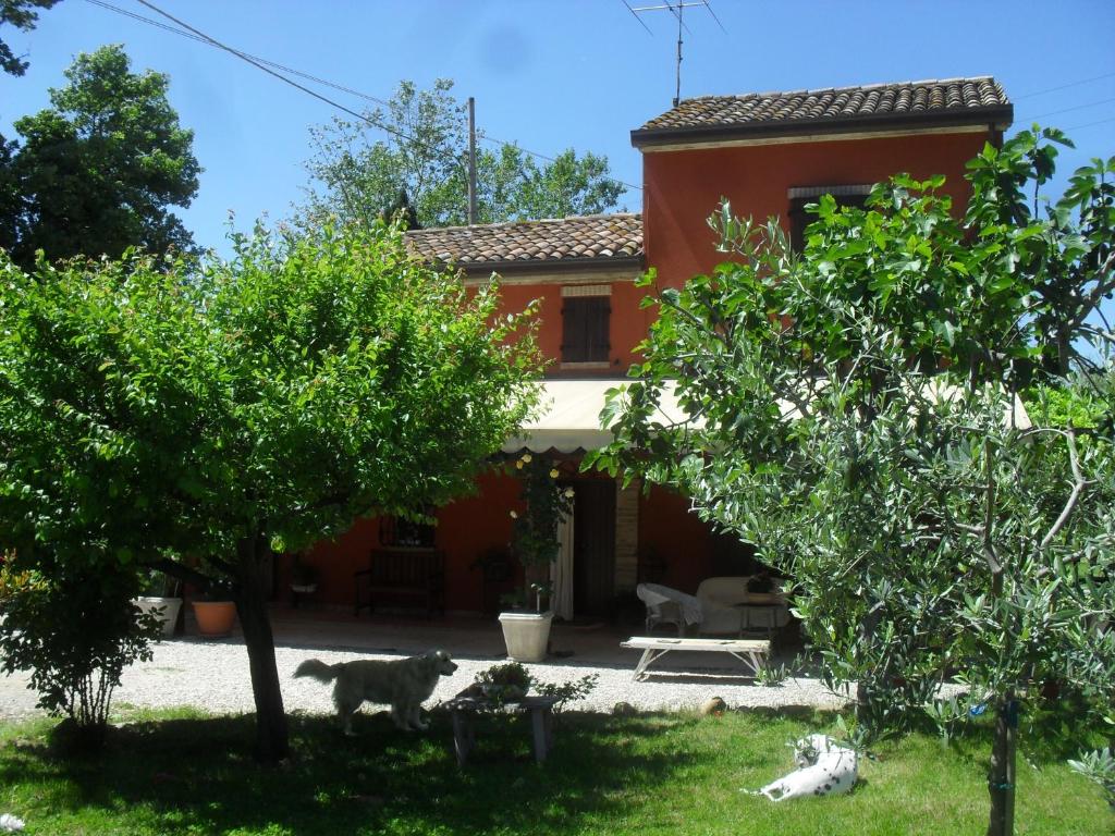 Zahrada ubytování B&B La Rosa Antica