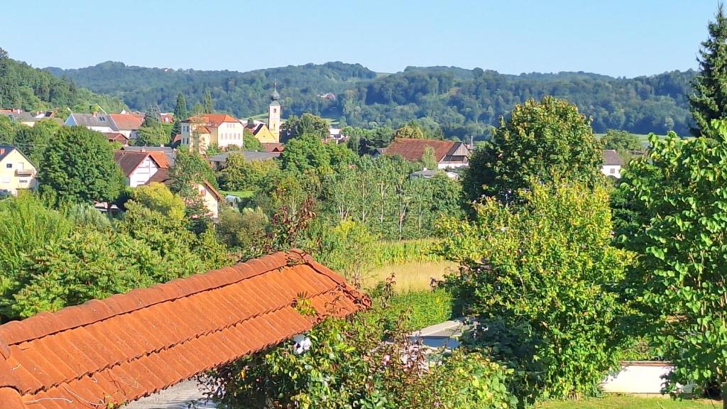 a small town with an orange roof and trees at Apartment Dorfblick in Hartmannsdorf
