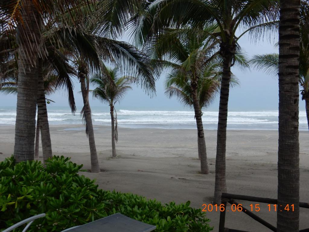 a view of a beach with palm trees and the ocean at La Isla Gran Cayman 904 in Acapulco