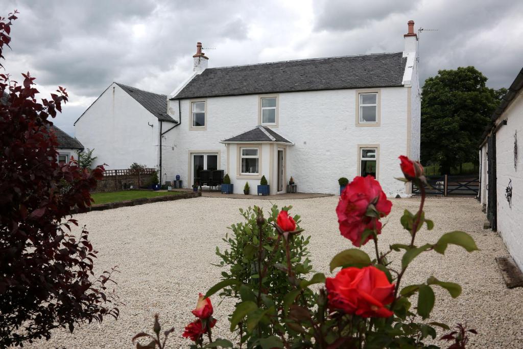 Biały dom z czerwonymi różami przed nim w obiekcie Crofthead Farm House w mieście Tarbolton