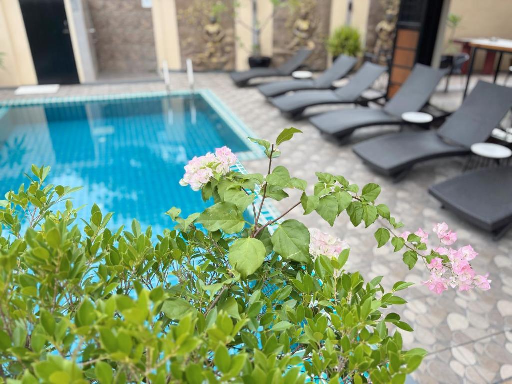 Swimming Pool Apartment Hotel - Resim 11