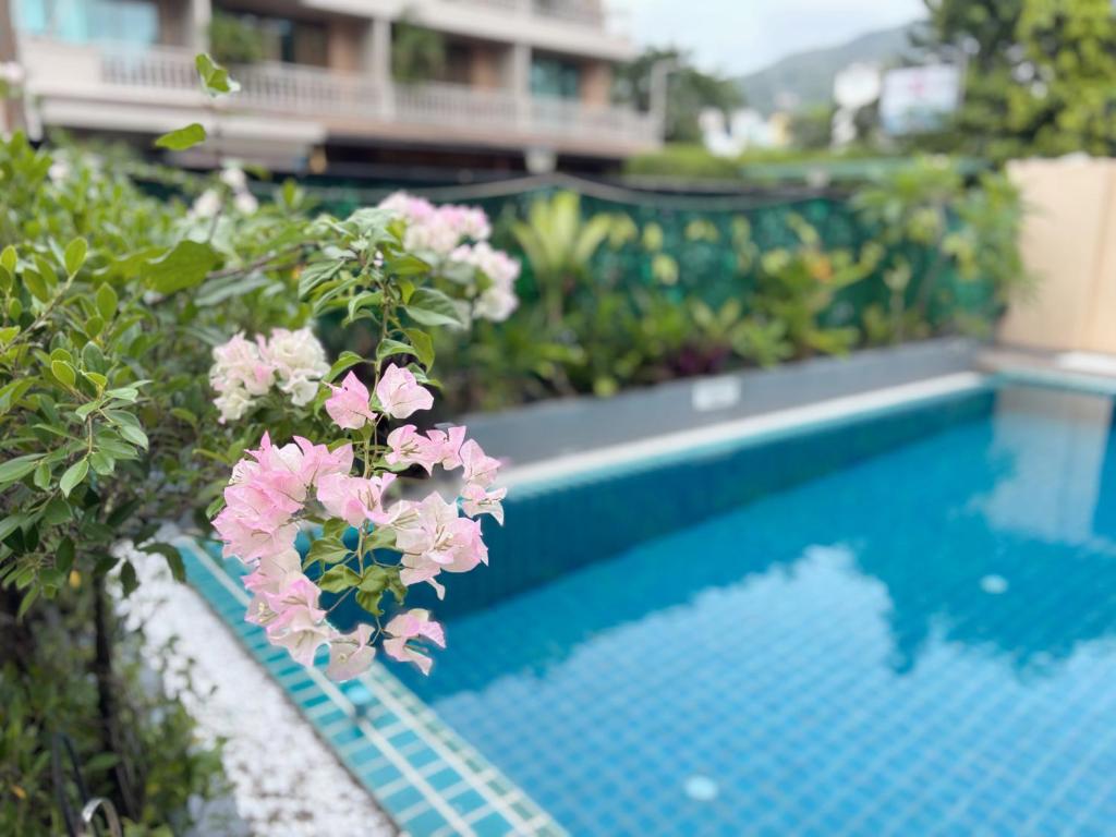 Swimming Pool Apartment Hotel - Resim 30