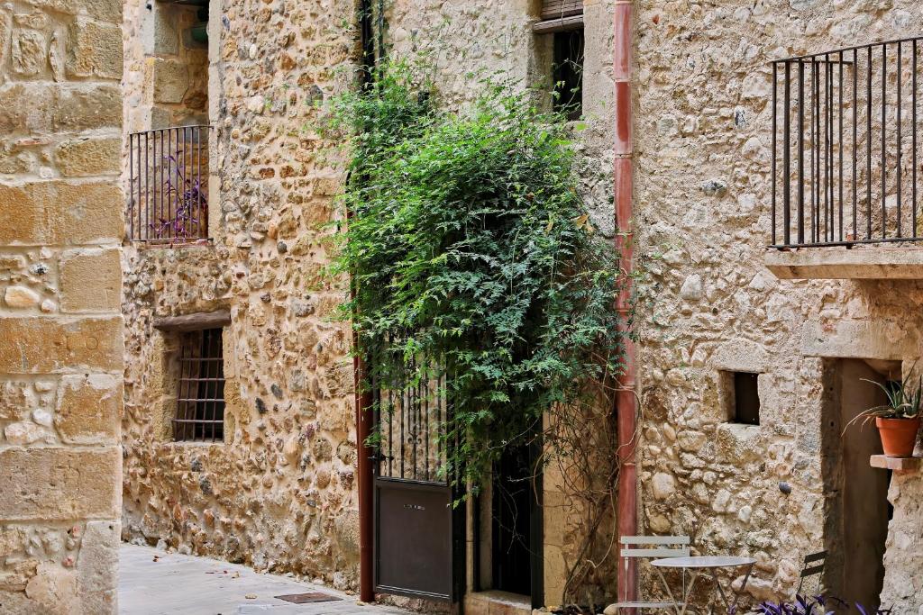 a plant in the doorway of a stone building at Casa Merceditas in Corsá