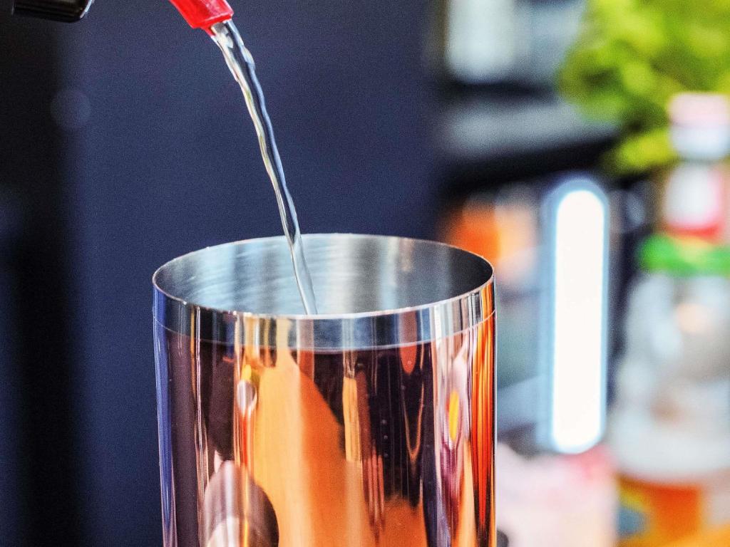 ibis Basel Bahnhof - Resim 41