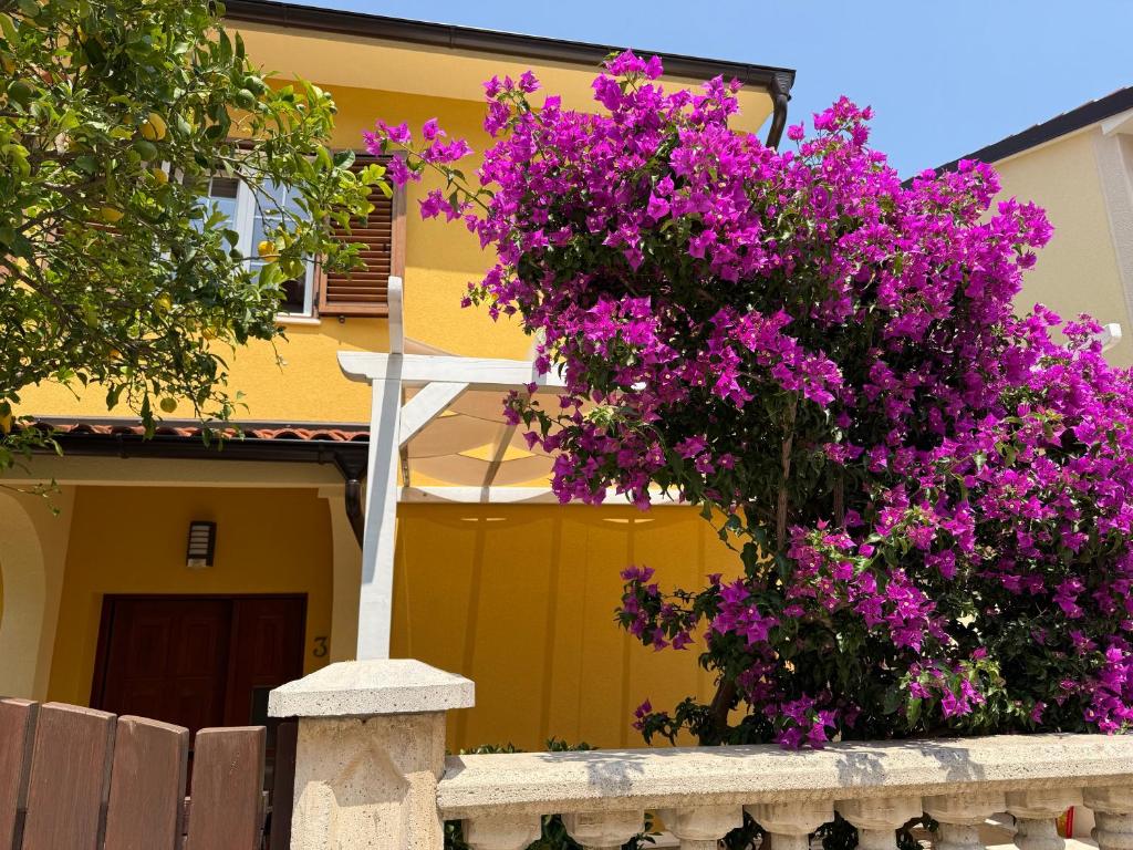 a house with purple flowers on a fence at Apartmani Enna in Mali Lošinj
