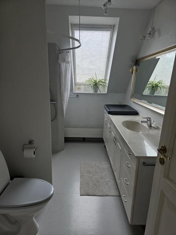 Ένα μπάνιο στο Central Nørresundby Gem - Steps from Aalborg