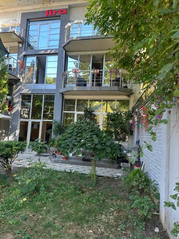 LIRA EXCELLENT NIS - Resim 36