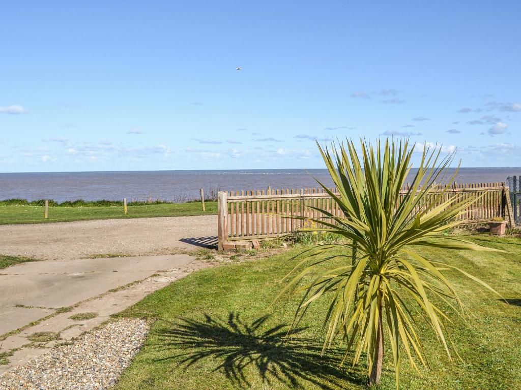 eine Bank und eine Palme neben dem Meer in der Unterkunft Sunrise Beach in Scratby
