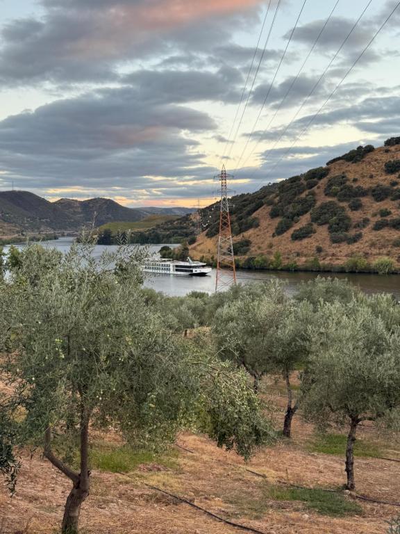 a boat on a river with trees and mountains at Douro Guest House in Torre de Moncorvo