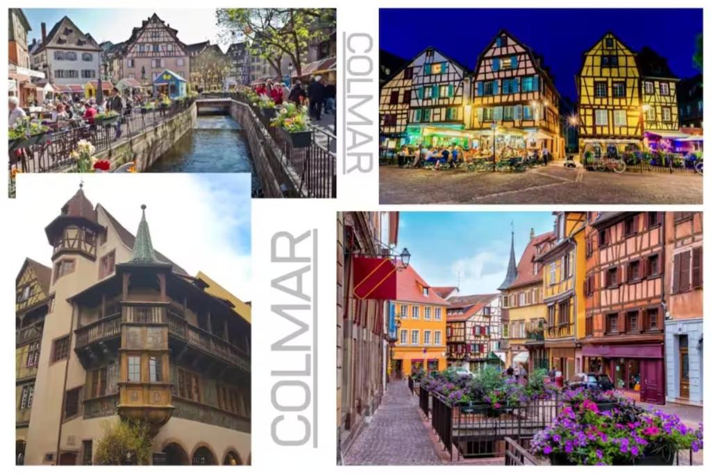 L'Adresse Colmarienne, Escapade en Famille, Terrasse, Garage Privé, Point de départ idéal en toutes saisons, Centre historique Colmar à 10 min à pied, Marchés de Noël, Route des vins d'Alsace, Appartement calme et élégant, Arrivée autonome, Garage à vélos – photo 41