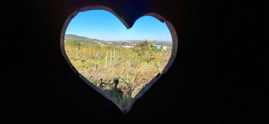 a heart shaped window with a view of a field at Jur Georgious in Svätý Jur