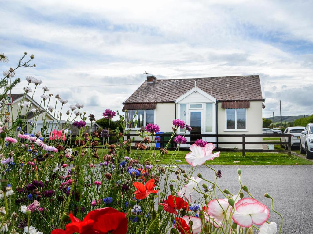 a garden of flowers in front of a house at Sunny Bank - Uk34711 in Reighton