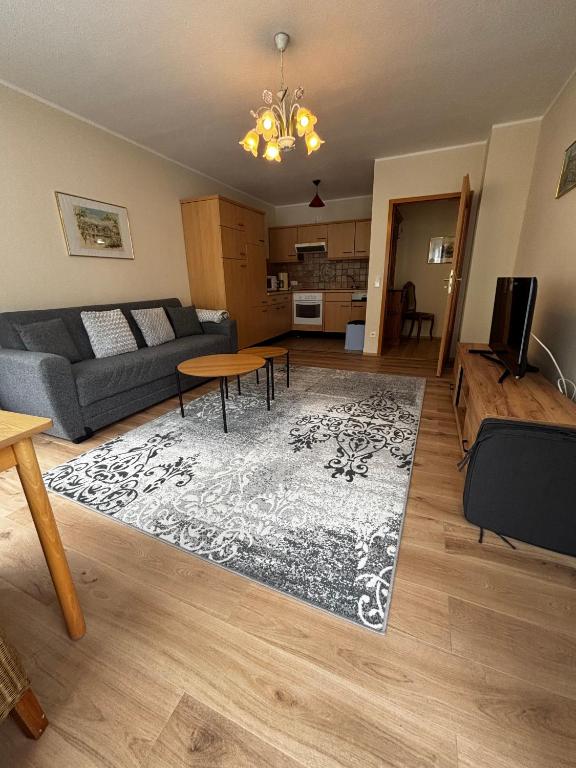 Hotel Bisenius - Apartamento De Un Dormitorio Con Vistas Al Río