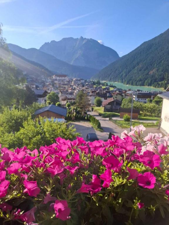 un mazzo di fiori rosa con montagne sullo sfondo di Mansarda Belvedere ad Auronzo di Cadore