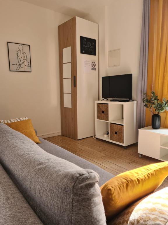 Μια τηλεόραση ή/και κέντρο ψυχαγωγίας στο Joli 2 pièces, Paris 30 min, Wi-Fi rapide