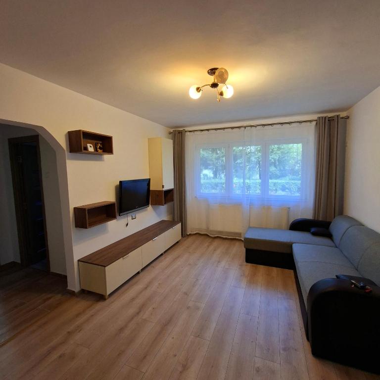 バカウにあるApartament Chrisのソファと薄型テレビのあるリビングルーム