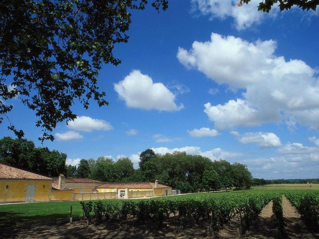 Novotel Bordeaux Centre Gare Saint Jean - Resim 45