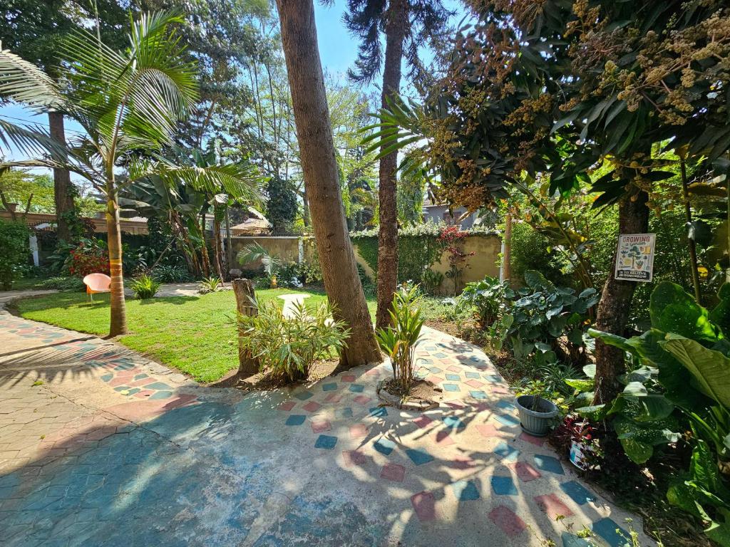 Mazzola Safari House & Backpacking photo