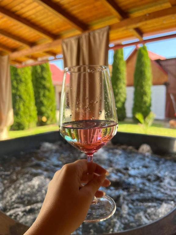a person holding a glass of wine on a table at B&B House in Obreja