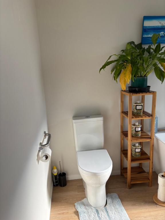 CareGreen BnB - Resim 10