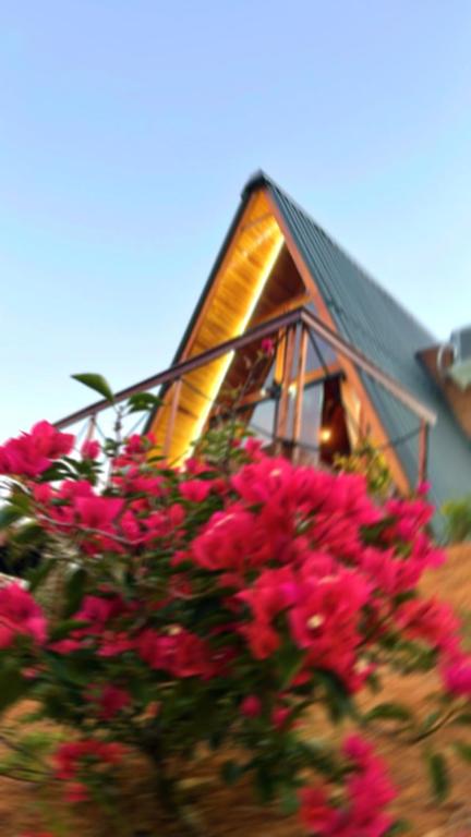 een groep roze bloemen voor een huis bij Chalé nascer do sol in Massaranduba