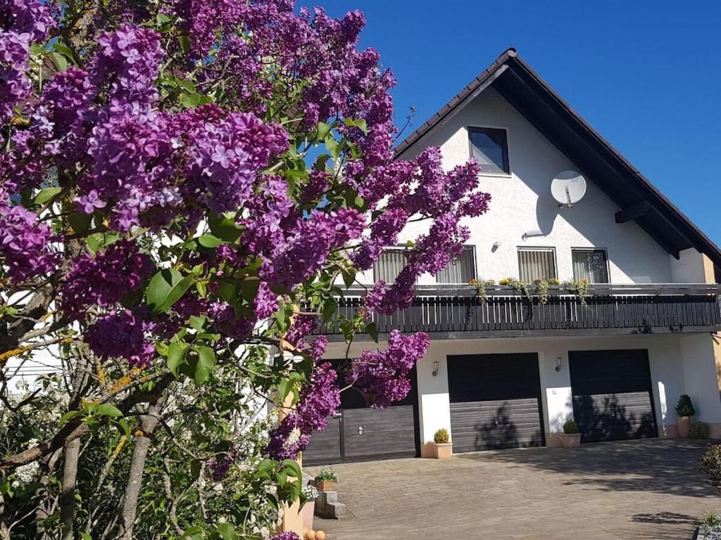 a building with purple flowers in front of it at Holiday home with 2 bedrooms in Burggaillenreuth