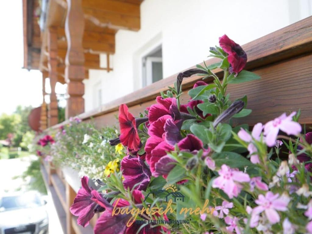 a bunch of flowers on the side of a house at Your holiday apartment Bavarian more in Gstadt am Chiemsee