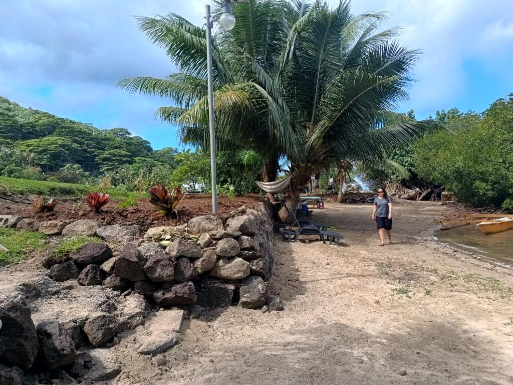 Tehuarupe Surf Studio 2 - photo 12 - Moorea, Polynésie