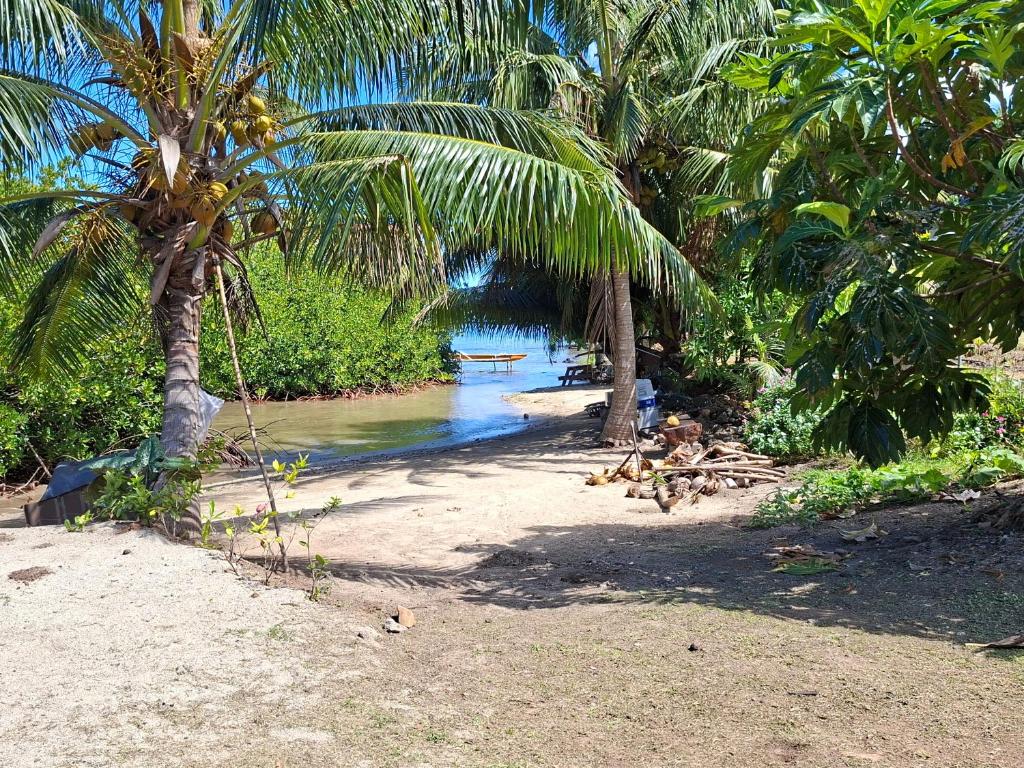 Tehuarupe Surf Studio 2 - photo 9 - Moorea, Polynésie