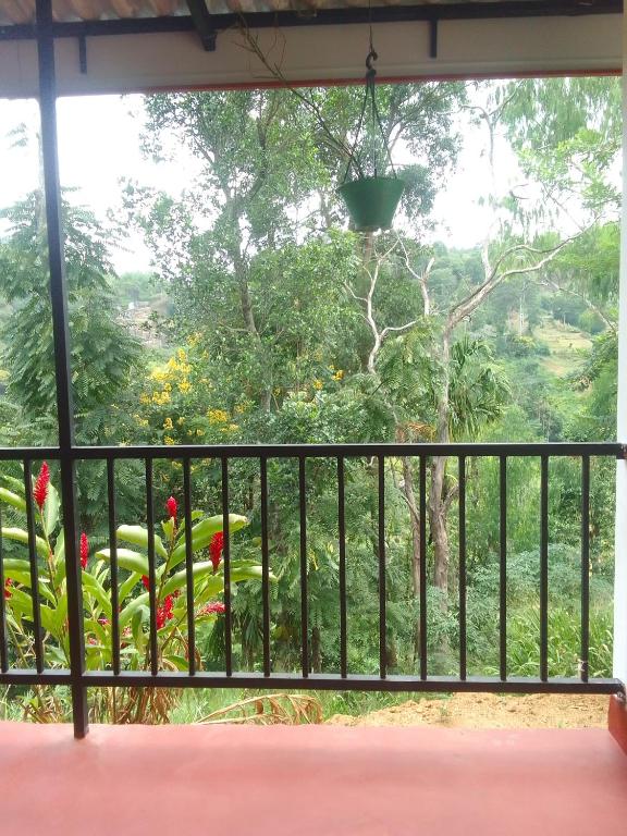 Nature's Glow Homestay And Resturant - 1