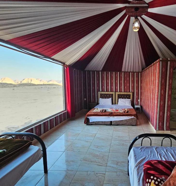 Camp in the natural reserve & tours