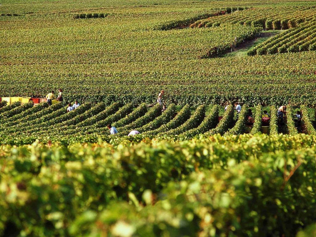 Ibis Styles Reims Centre - Resim 40