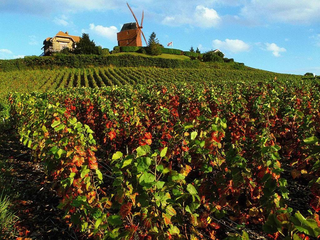 Ibis Styles Reims Centre - Resim 43