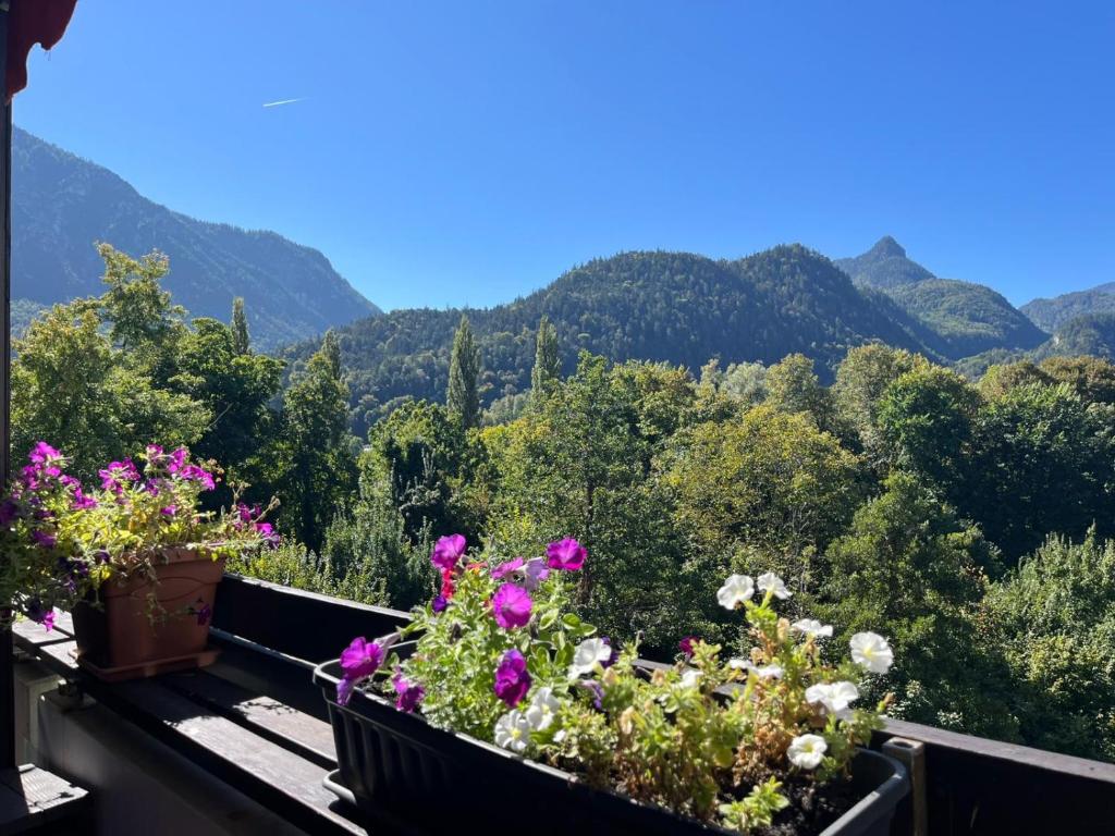 a balcony with flowers and mountains in the background at Ferienwohnung Lona in Bad Reichenhall