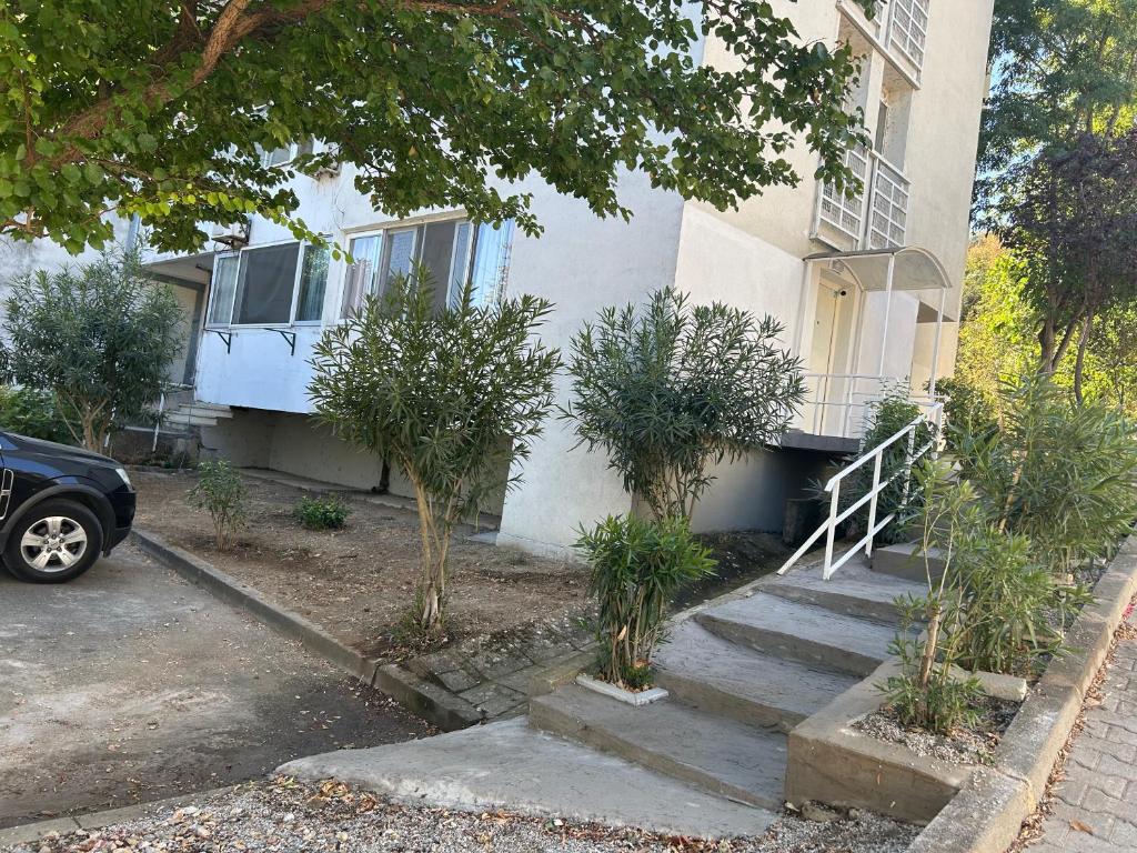 Gallery image of VILI APARTMENTS STAR DOJRAN in Star Dojran