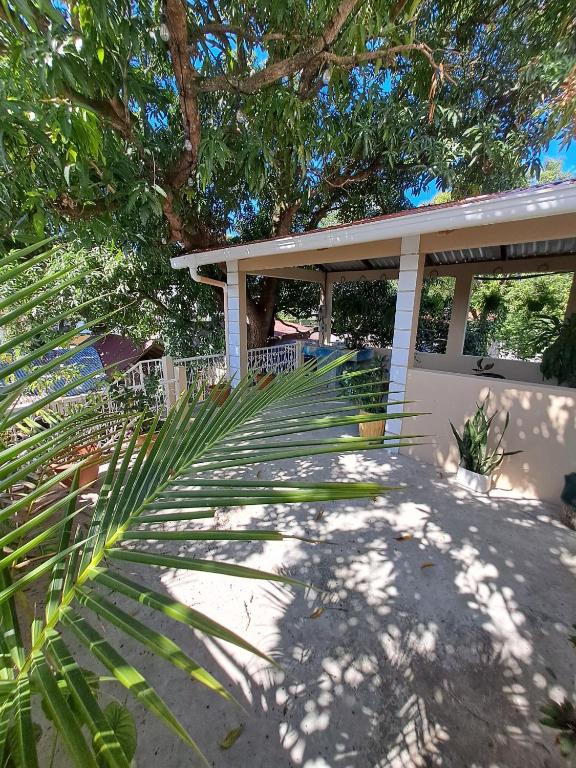 a white house with a palm tree in front of it at Katún boutique hotel in Flores