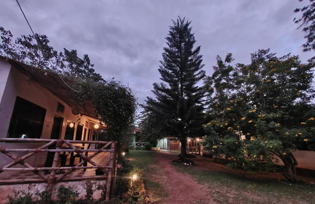 a yard with a fence and a tree and a house at The Big Cat's Den - Maravakandy Resort, Masinagudi in Masinagudi